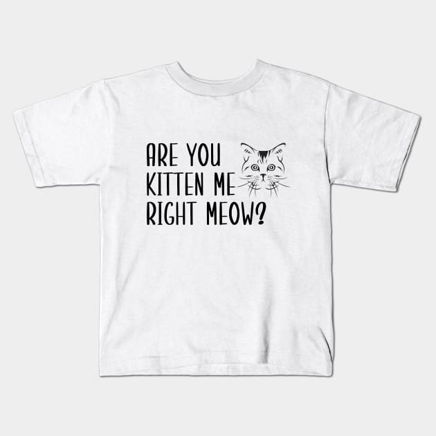 Are You Kitten Me Right Meow Kids T-Shirt by Health